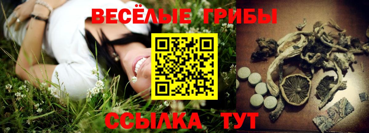Псилоцибиновые грибы GOLDEN TEACHER  Галлюциногенные грибы GOLDEN TEACHER  Вход с VPN  Саки 